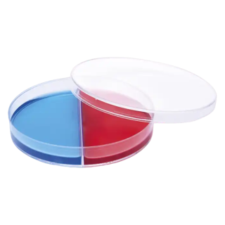 Placas petri de plastico (2 divisiones x 20 und) 90 x 15 mm ISOLAB (081.02.092)