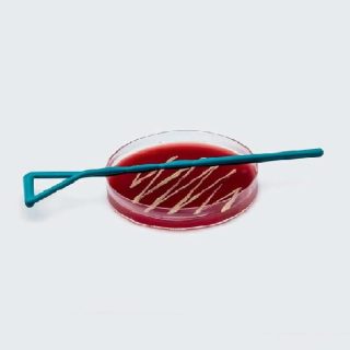 Espatula de drigalsky de plastico esteril x100und ISOLAB (082.03.001)